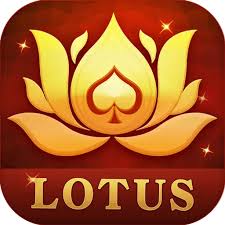 dash teen patti download